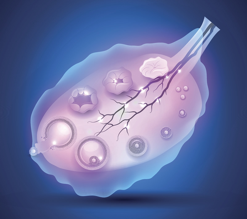 2026年吉林大学二级医院试管婴儿预约攻略，助你顺利挂号